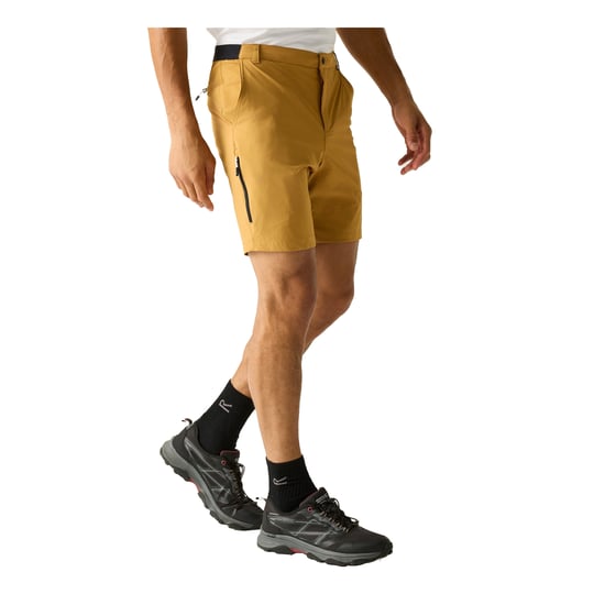 Regatta Professional - Shorts für Herren , Reise (Holzbraun) - Image 4