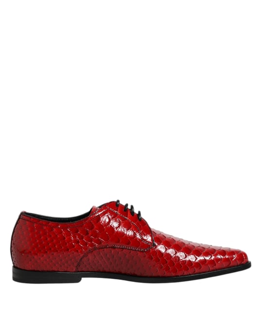 Dolce & Gabbana Rote Exotische Leder Schnür-Derby-Schuhe - Image 1