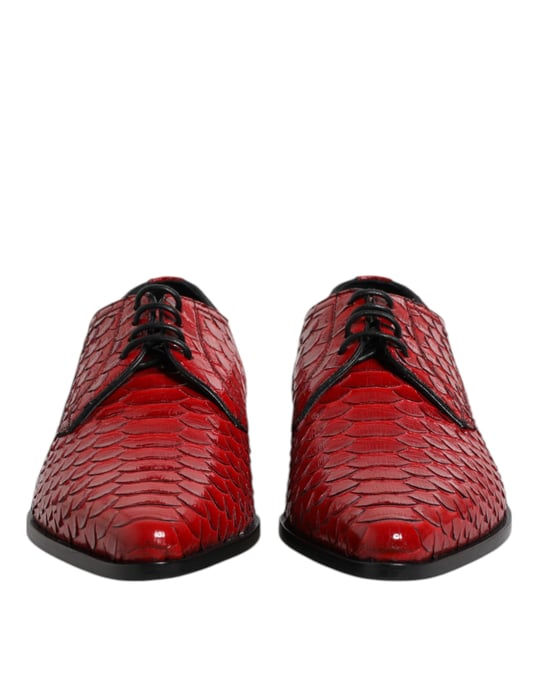 Dolce & Gabbana Rote Exotische Leder Schnür-Derby-Schuhe - Image 2