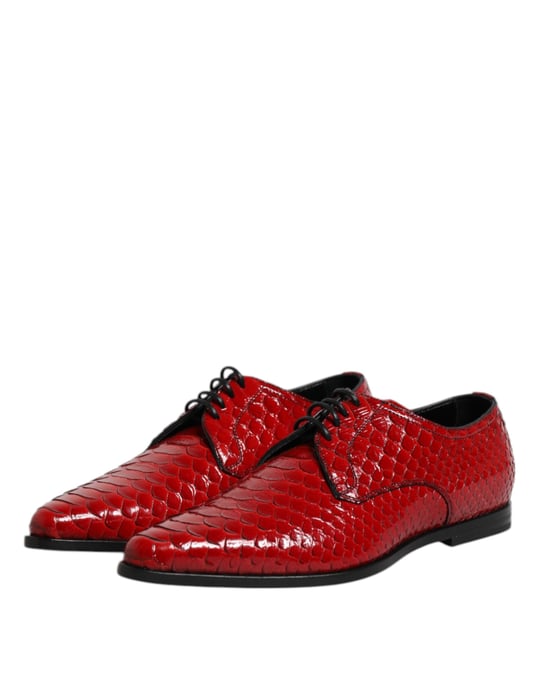 Dolce & Gabbana Rote Exotische Leder Schnür-Derby-Schuhe - Image 4
