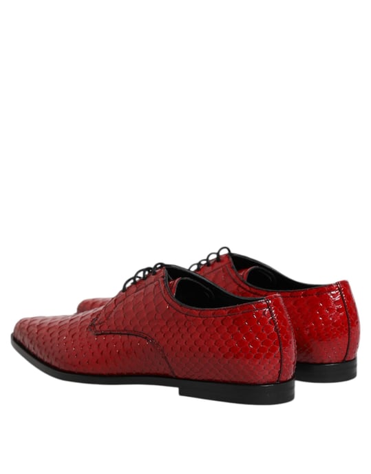 Dolce & Gabbana Rote Exotische Leder Schnür-Derby-Schuhe - Image 5