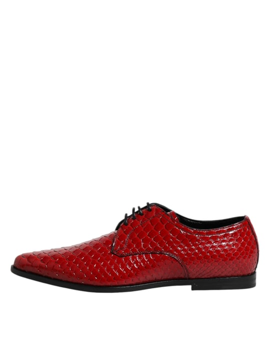 Dolce & Gabbana Rote Exotische Leder Schnür-Derby-Schuhe - Image 6