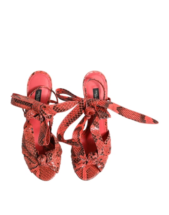 Dolce & Gabbana Korallen-python Leder Sandalen Schuhe - Image 3