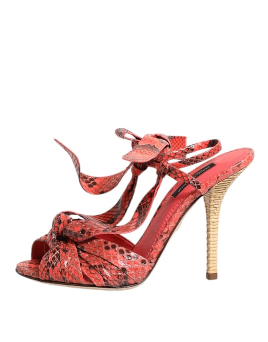 Dolce & Gabbana Korallen-python Leder Sandalen Schuhe - Image 6