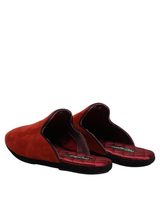 Dolce & Gabbana Orange Wildleder Slingbacks Flache Hausschuhe - Image 5