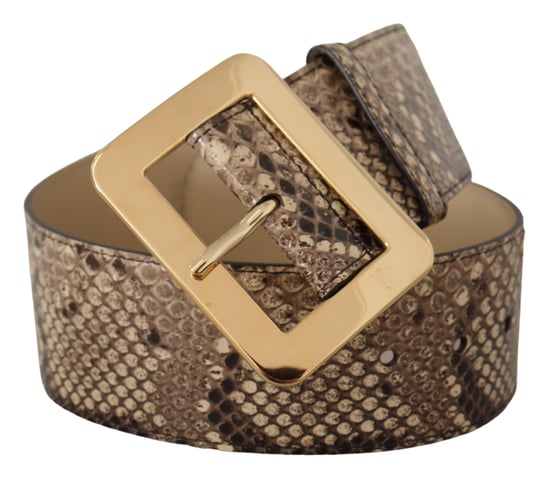 Dolce & Gabbana Brauner Exotischer Breiter Ledergürtel mit Goldmetall-Schnalle - Image 2