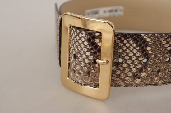 Dolce & Gabbana Brauner Exotischer Breiter Ledergürtel mit Goldmetall-Schnalle - Image 4