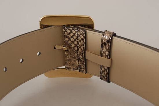 Dolce & Gabbana Brauner Exotischer Breiter Ledergürtel mit Goldmetall-Schnalle - Image 5