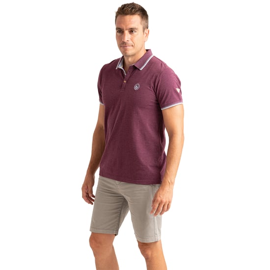 Herren Polohemd mit kurzem Arm, Baumwoll-Melange-Strick PRI2636 - Image 4