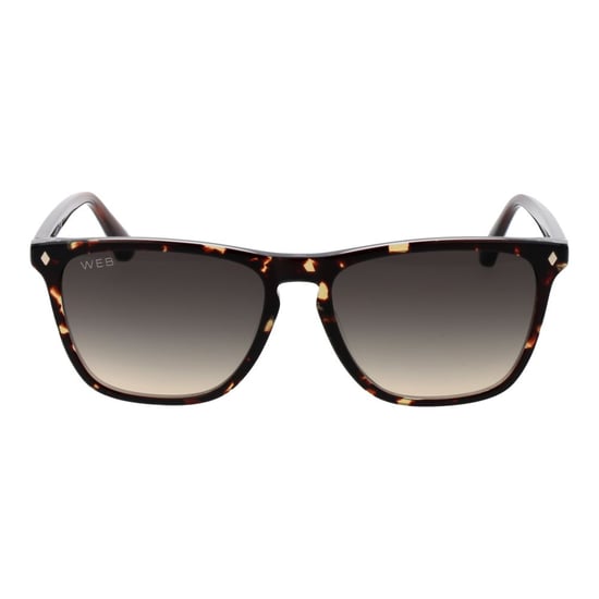 Web Brown Acetat Sonnenbrille - Image 2
