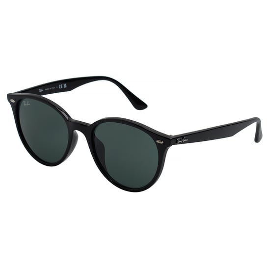 Panthos RB4305F Herren-Sonnenbrille - Image 5