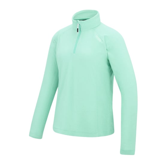 Regatta Great Outdoors Damen Fleece-Top Montes mit 1/4-Reißverschluss (Eisgrün) - Image 3