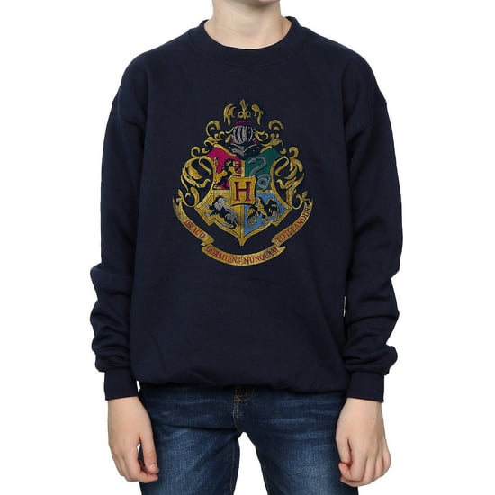 Harry Potter - Sweatshirt für Jungen (Marineblau) - Image 1