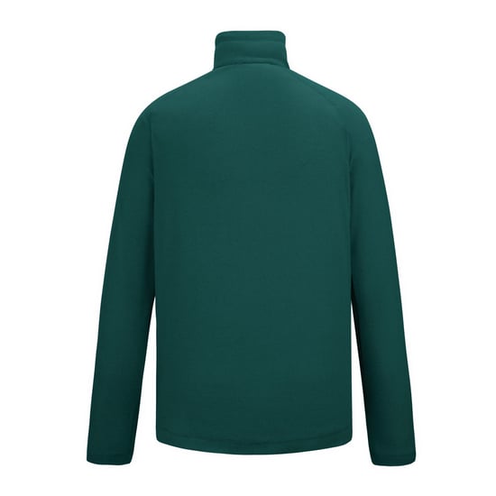 Regatta Great Outdoors Damen Fleece-Top Montes mit 1/4-Reißverschluss (Mittelmeergrün) - Image 2