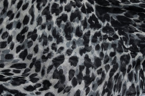 Saint Laurent, leopardenbedrucktes Quadrat-Tuch - Image 2