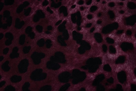 Dolce & Gabbana, lila Schal mit Leopardenmuster - Image 4