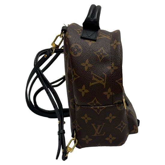 Louis Vuitton Monogram Palm Springs Mini Rucksack aus braunem Canvas - Image 2