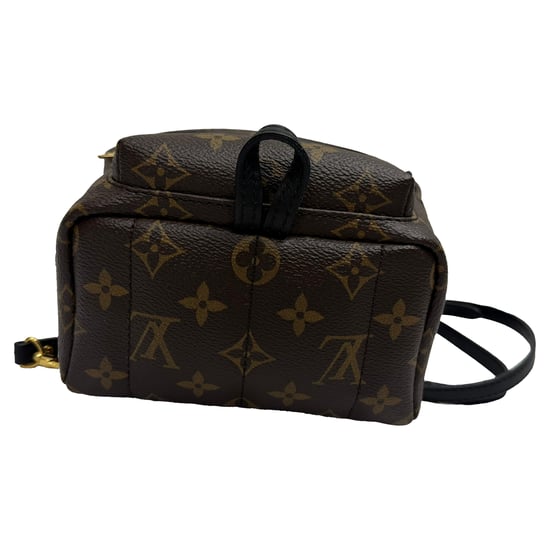Louis Vuitton Monogram Palm Springs Mini Rucksack aus braunem Canvas - Image 3