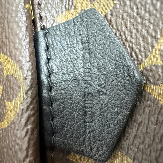 Louis Vuitton Monogram Palm Springs Mini Rucksack aus braunem Canvas - Image 4