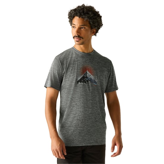 Regatta - "Fingal" T-Shirt für Herren, meliert (Dunkler Sturm) - Image 4