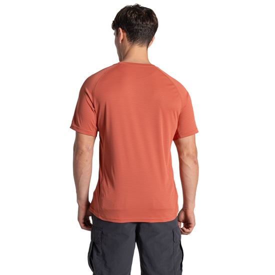 Craghoppers - T-Shirt für Herren, Nosilife (Dunkle Sahara) - Image 2