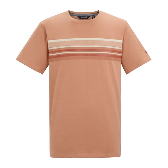 Regatta - "Rendro" T-Shirt für Herren (Italienischer Beton) - Image 1