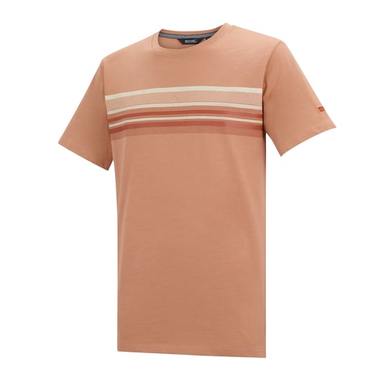 Regatta - "Rendro" T-Shirt für Herren (Italienischer Beton) - Image 3