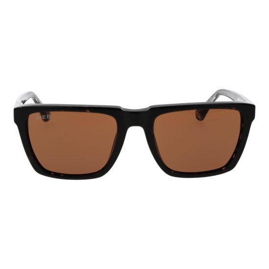 Web Sonnenbrille WE0379 56E 55 - Image 2
