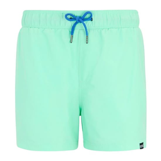 Regatta - "Mawson II" Badeshorts für Herren (Eisgrün/Sonic-Blau) - Image 1