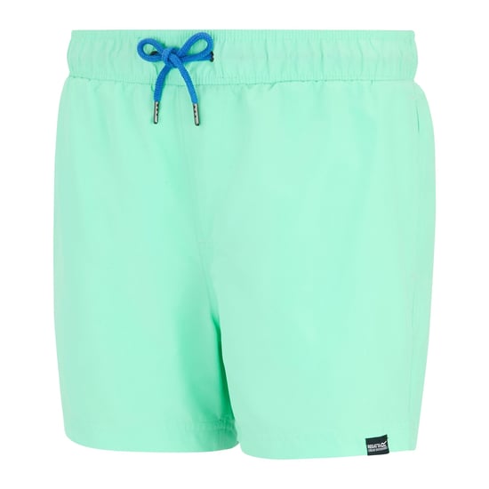 Regatta - "Mawson II" Badeshorts für Herren (Eisgrün/Sonic-Blau) - Image 3