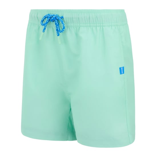 Regatta - "Skander" Badeshorts für Kinder (Eisgrün/Sonic-Blau) - Image 3