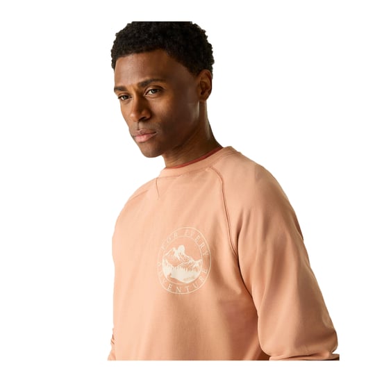 Regatta - Sweatshirt für Herren (Italienischer Beton) - Image 4