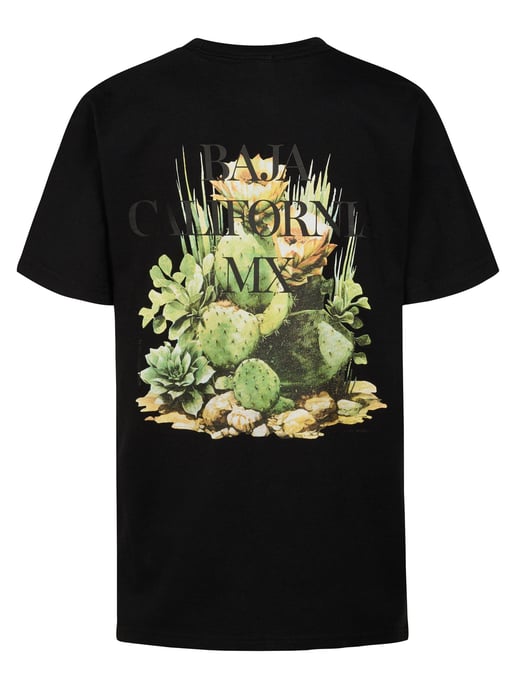 Petrol Industries - T-Shirt mit Rückenprint Corrido  Jungen - Image 2