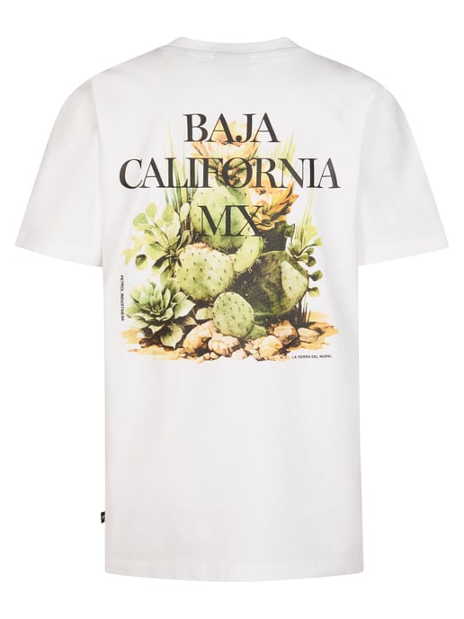 Petrol Industries - T-Shirt mit Rückenprint Corrido  Jungen - Image 2