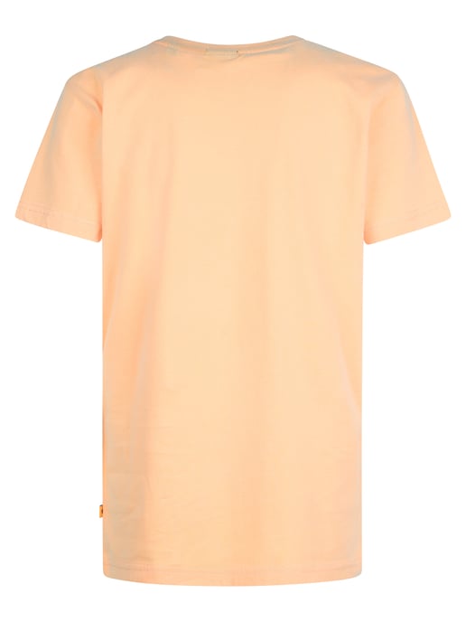 Petrol Industries - 2er-Pack Jersey T-Shirts mit Print Mulegé Jungen - Image 3
