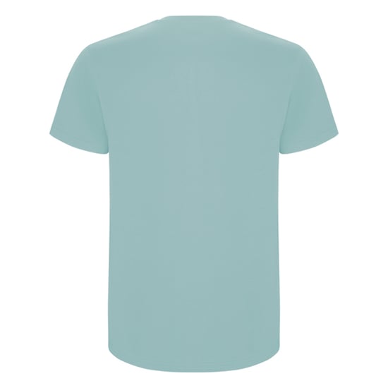 Roly - "Stafford" T-Shirt für Herren (gewaschenes Blau) - Image 2
