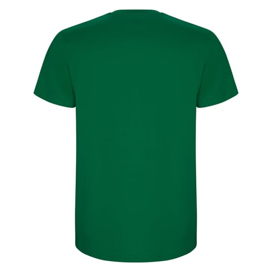 Roly - "Stafford" T-Shirt für Herren (Irisches Grün) - Image 2