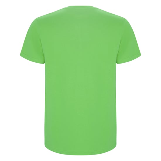 Roly - "Stafford" T-Shirt für Herren (Oasen Grün) - Image 2