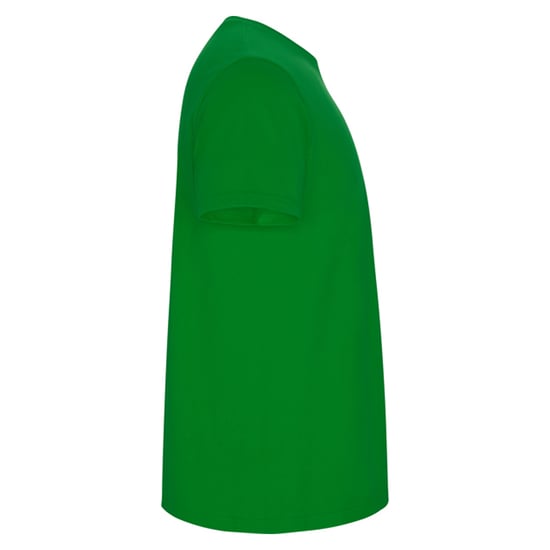 Roly - "Stafford" T-Shirt für Herren (Grasgrün) - Image 4