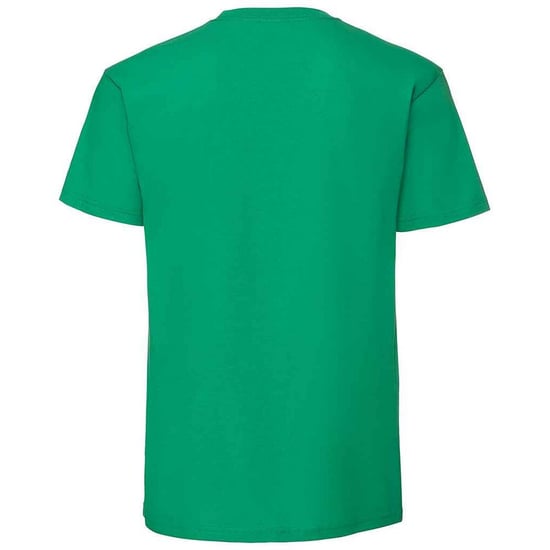 Fruit of the Loom - "Iconic 195 Premium" T-Shirt für Herren (Irisches Grün) - Image 2
