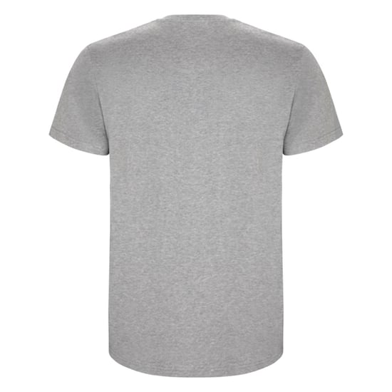 Roly - "Stafford" T-Shirt für Herren (Grau meliert) - Image 2