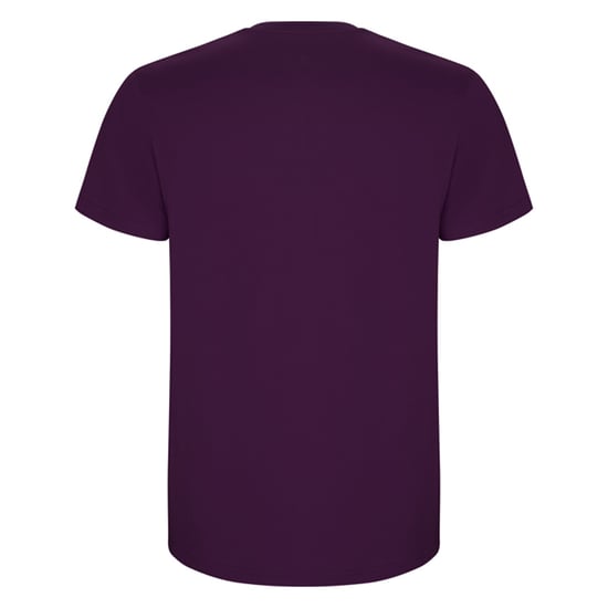 Roly - "Stafford" T-Shirt für Herren (Violett) - Image 2