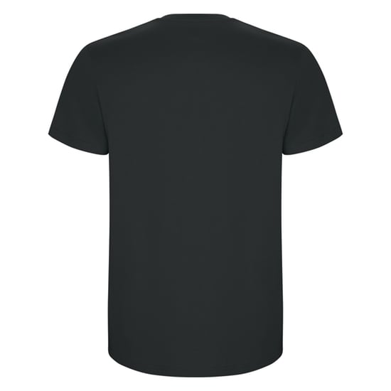 Roly - "Stafford" T-Shirt für Herren (Dunkelgrau) - Image 2