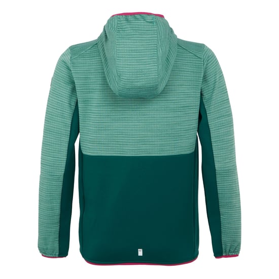 Regatta - "Prenton III" Jacke für Kinder (Regenwald/Grün) - Image 2