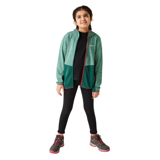 Regatta - "Prenton III" Jacke für Kinder (Regenwald/Grün) - Image 4