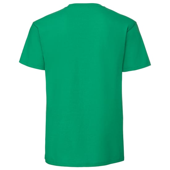 Fruit of the Loom Unisex-Erwachsene Iconic 195 T-Shirt (Irisches Grün) - Image 2
