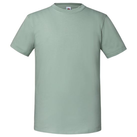 Fruit of the Loom Unisex-Erwachsene Iconic 195 T-Shirt (Salbei) - Image 1