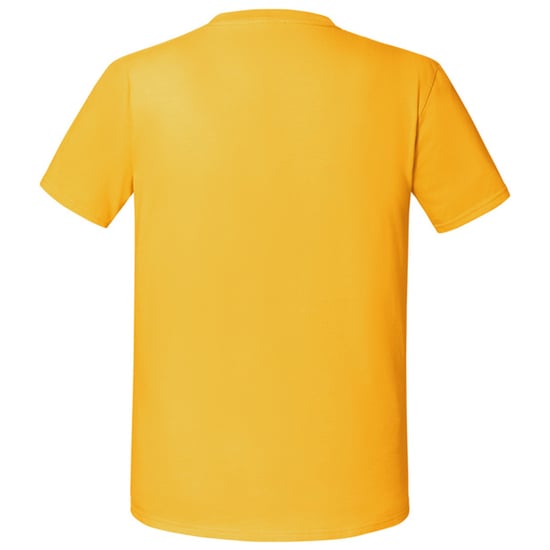 Fruit of the Loom Unisex-Erwachsene Iconic 195 T-Shirt (Sonnenblume) - Image 2
