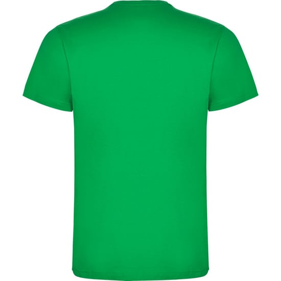 Roly - "Dogo" T-Shirt für Kinder (Irisch-Grün) - Image 2
