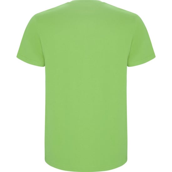 Roly - "Stafford" T-Shirt für Kinder (Oasen Grün) - Image 2